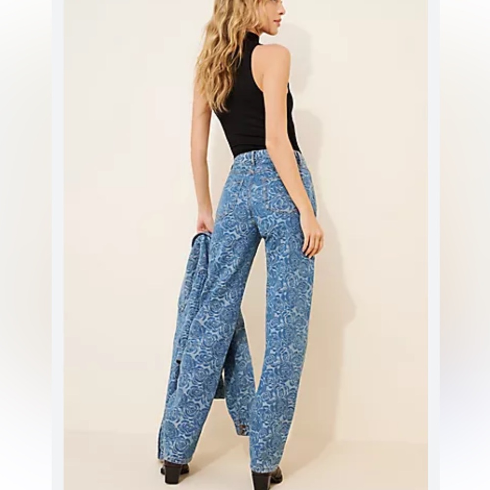Anthropologie Habitual Jacquard Barrel Leg Jeans size 25 like new